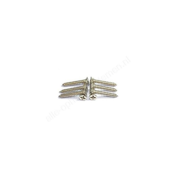 GeckoTeq Platte Kruiskopschroef - 3.0x13mm