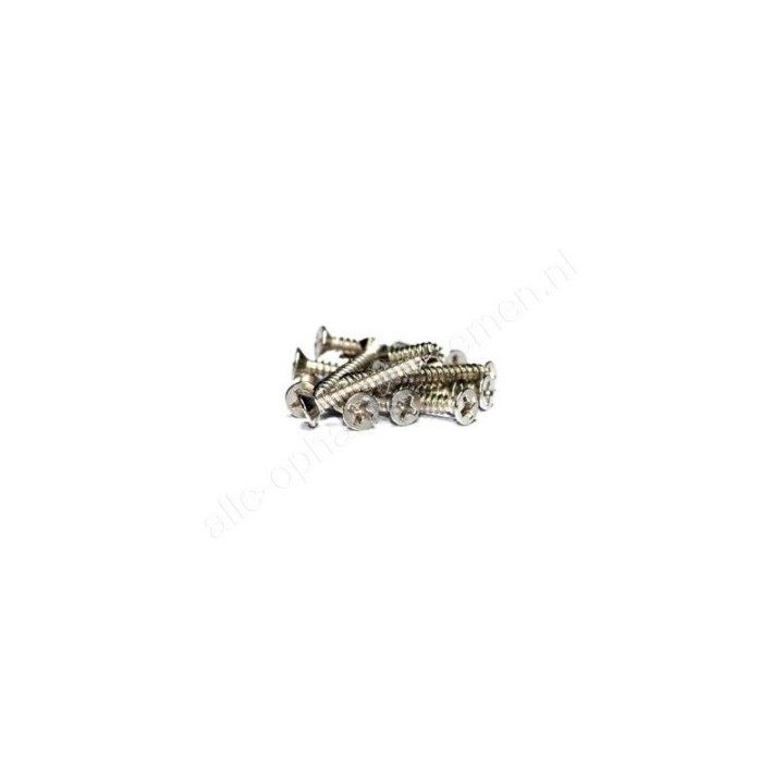 GeckoTeq Platte Kruiskopschroef - 3.0x13mm