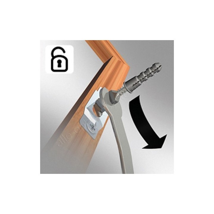 GeckoTeq Anti-Diefstalsysteem Sleutel