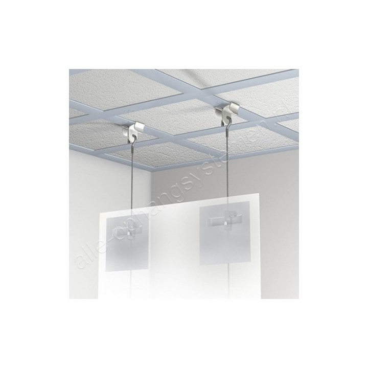 Pince de plafond GeckoTeq en blanc - 5kg