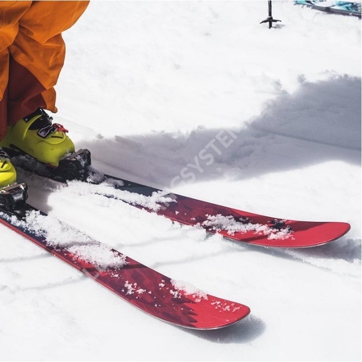 Système de suspension de skis GeckoTeq - Crochet de suspension GSH24