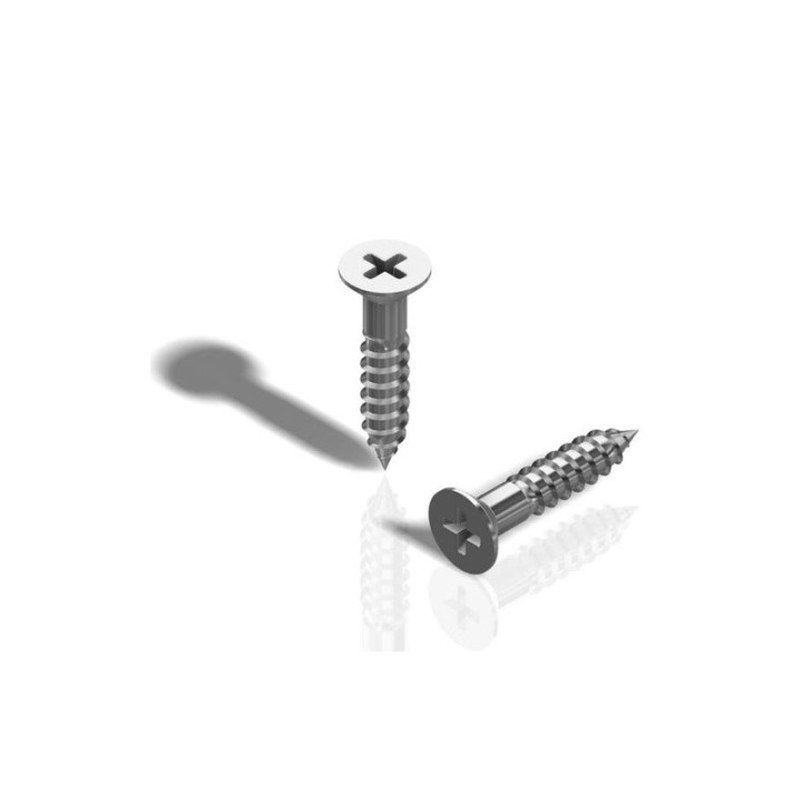 GeckoTeq Philips head Screw - 2.0x12