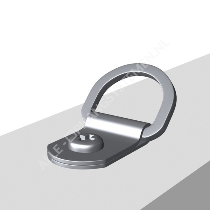 Pendentif GeckoTeq D-Ring avec anneau fermé - 25 kg