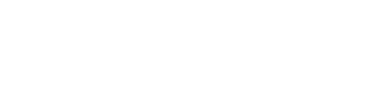 GeckoTeq